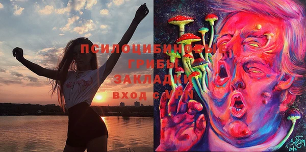 МДПВ Алексин