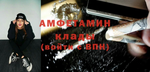 крисы Абаза