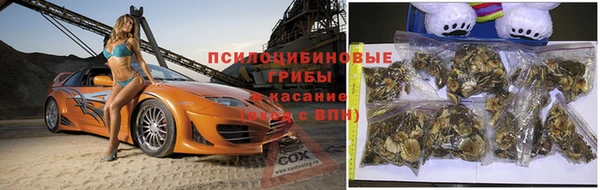 эйфоретик Алексеевка